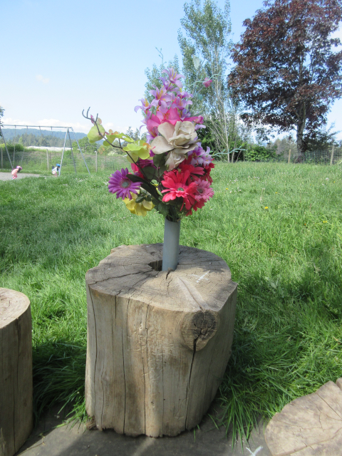 Flowers in Stump